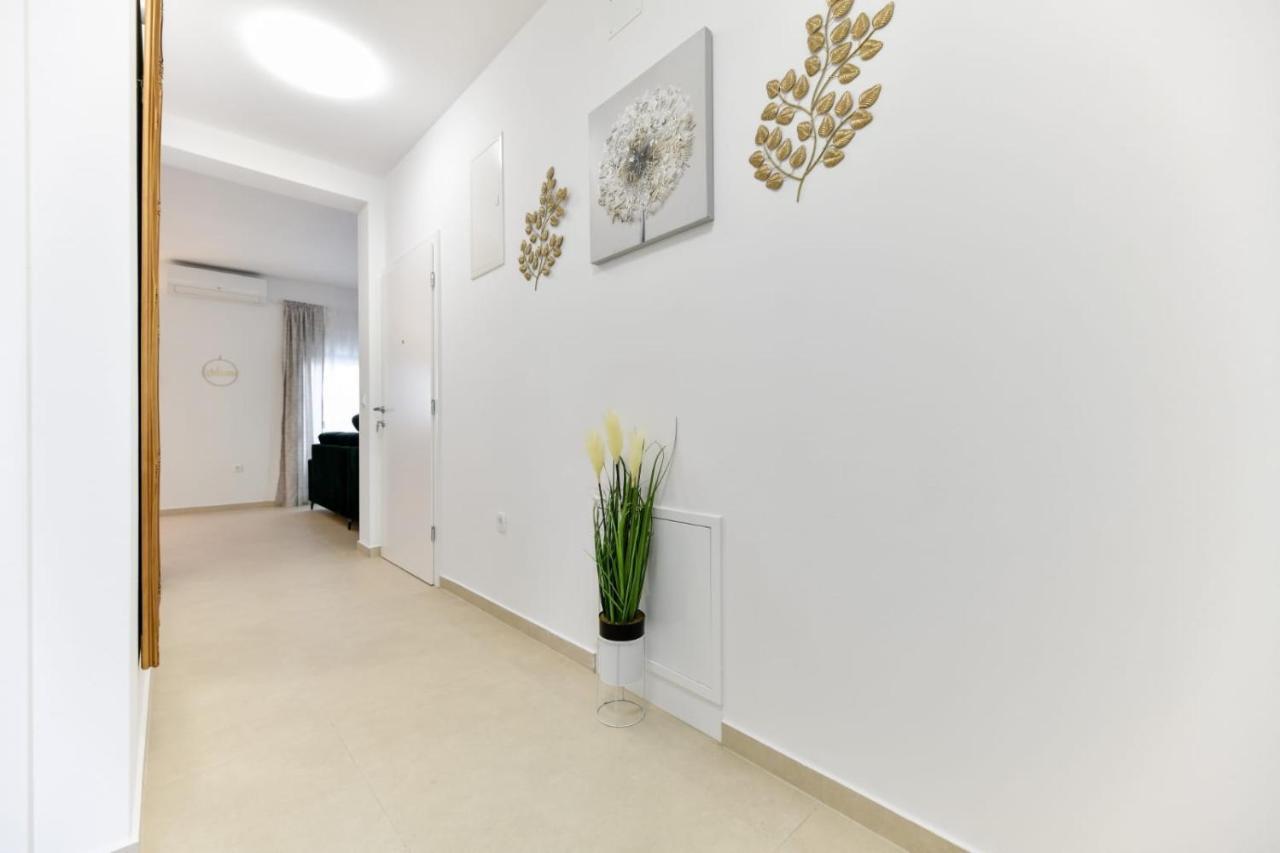 Family Apartment Amare 扎达尔 外观 照片